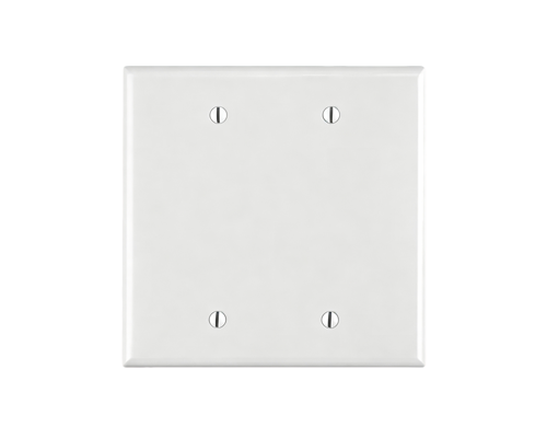 American-Style Two-Gang Blank Wall Plate