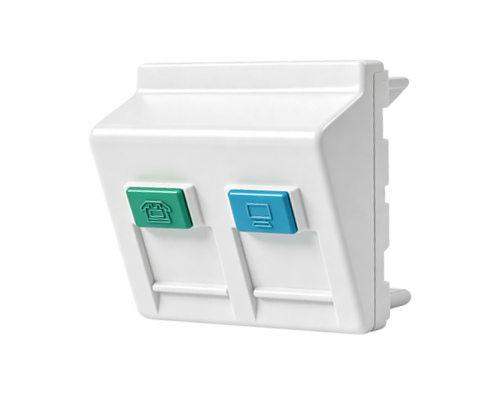 45×45mm Dual-Port Angled Modular Data Insert