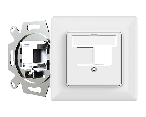 Dual Port-Network RJ45 Faceplate
