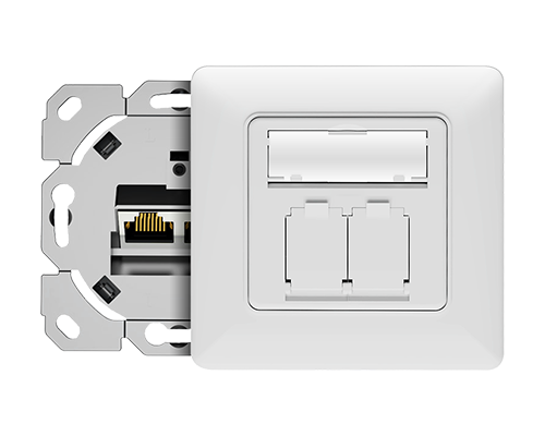 Dual Port-Network RJ45 Faceplate