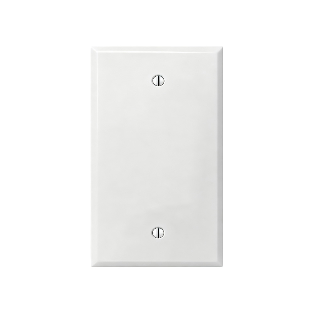 American-Style One-Gang Blank Wall Plate