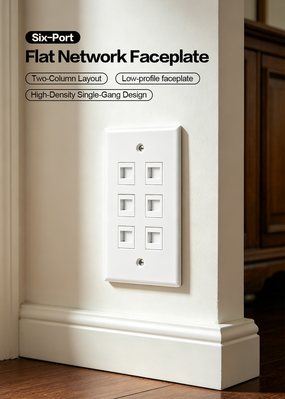 American-Style Six-Port Flat Network Faceplate