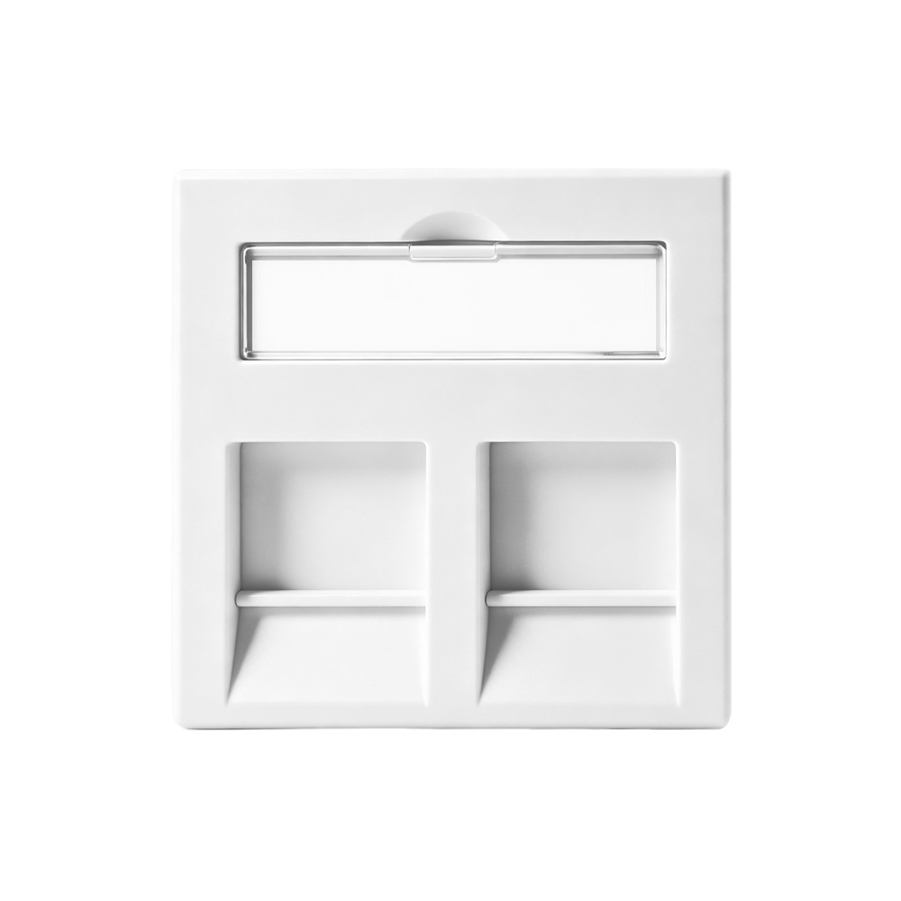 45×45mm Dual-Port Modular Insert with Label Field