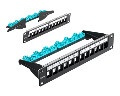 1U 12 Port-FTP Blank Patch Panel