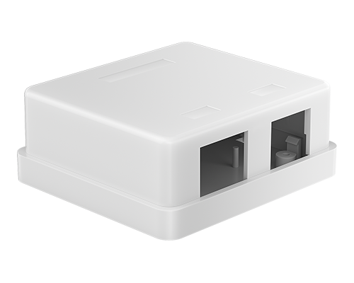 Dual Port-Blank Surface Mount Box
